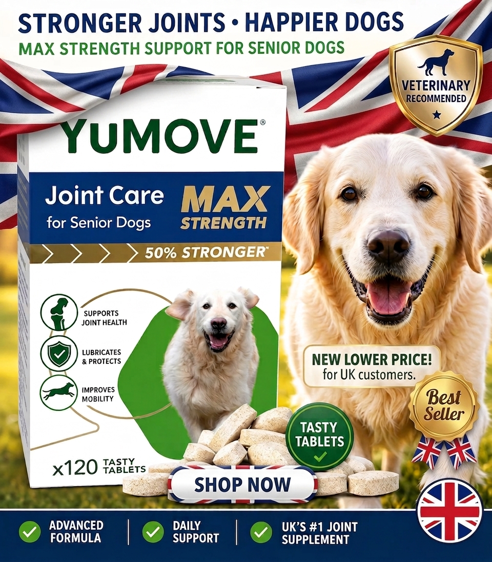 Gemini_Generated_Image_pxx7m3pxx7m3pxx7 YuMOVE - Senior Dog MAX Strength Joint Supplement – 120 Tablets - Image 1