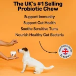 Pre Pro Post Biotic Dog Treats 300g – Beef Flavour Gut Digestion & Immune Support - Image 4